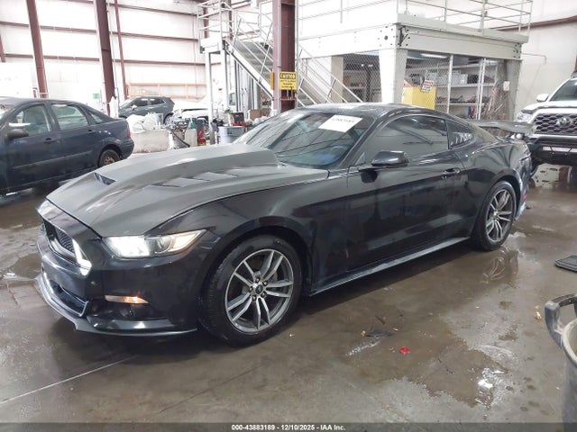 2017 FORD MUSTANG 1FA6P8TH2H5218175 Photo 1