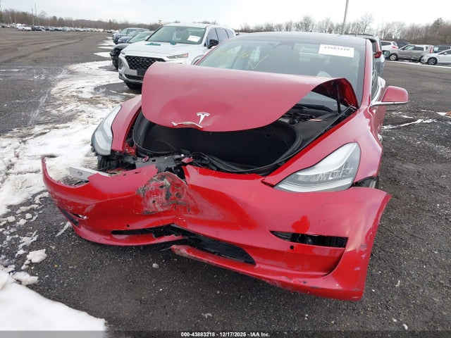 2019 TESLA MODEL 3 5YJ3E1EB9KF440785 Photo 5