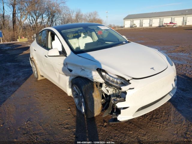 2023 TESLA MODEL Y 7SAYGDEEXPF618404