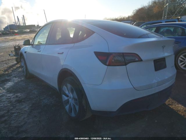 2023 TESLA MODEL Y 7SAYGDEEXPF618404 Photo 2