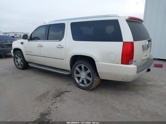 2009 CADILLAC ESCALADE ESV 1GYFK262X9R222489 Photo 2