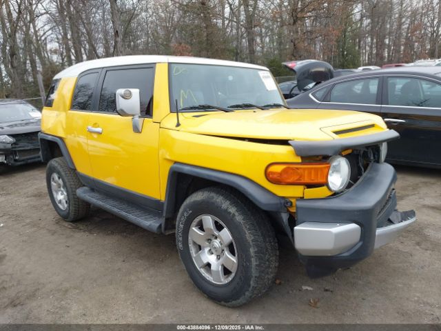 2007 TOYOTA FJ CRUISER JTEBU11F270100337