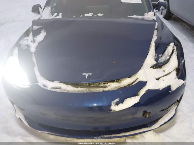 2019 TESLA MODEL 3 5YJ3E1EBXKF364929 Photo 5