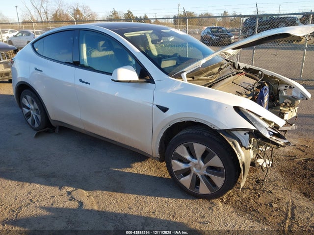 2023 TESLA MODEL Y 7SAYGDEF5PA048544 Photo 0