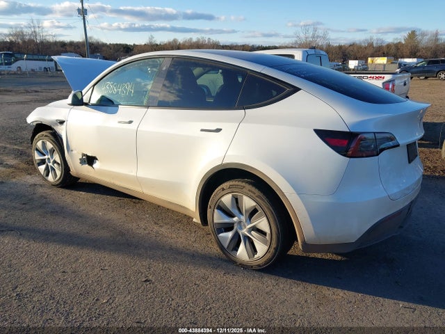 2023 TESLA MODEL Y 7SAYGDEF5PA048544 Photo 2