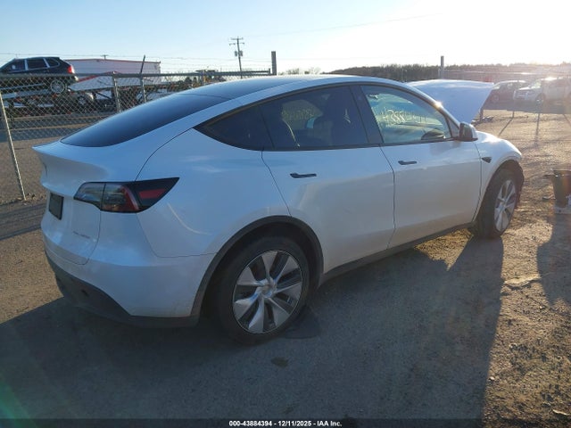 2023 TESLA MODEL Y 7SAYGDEF5PA048544 Photo 3