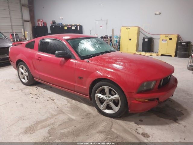 2006 FORD MUSTANG 1ZVFT82H565111770