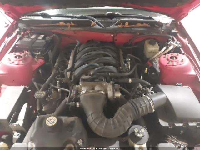 2006 FORD MUSTANG 1ZVFT82H565111770 Photo 9