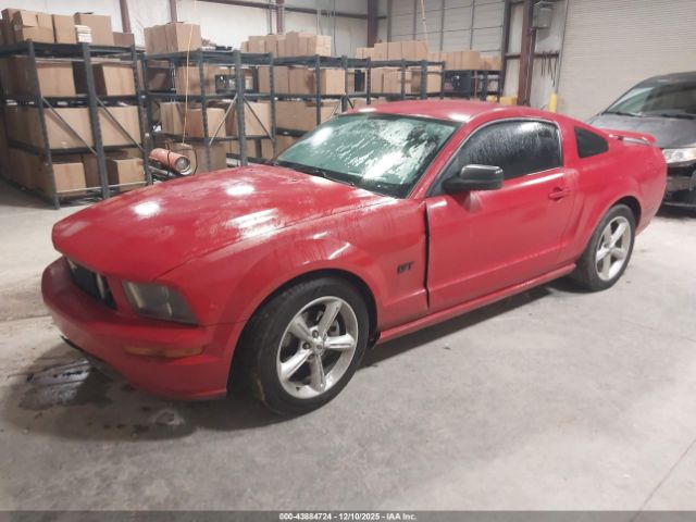 2006 FORD MUSTANG 1ZVFT82H565111770 Photo 1