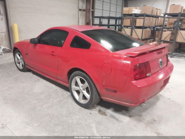 2006 FORD MUSTANG 1ZVFT82H565111770 Photo 2