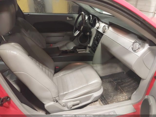 2006 FORD MUSTANG 1ZVFT82H565111770 Photo 4