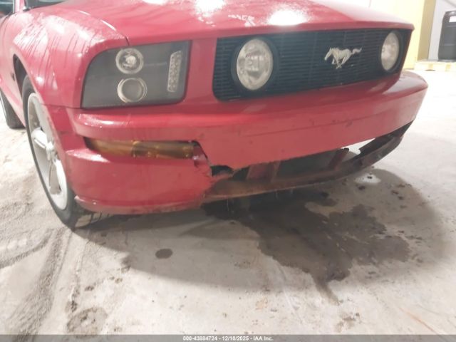 2006 FORD MUSTANG 1ZVFT82H565111770 Photo 5