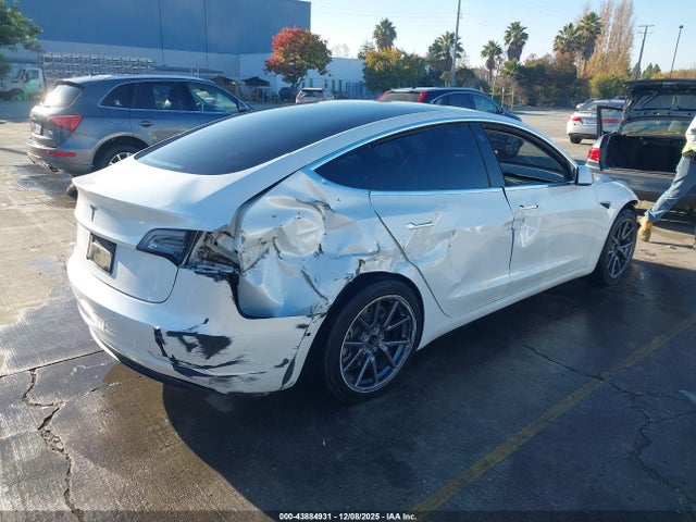 2019 TESLA MODEL 3 5YJ3E1EA1KF396949 Photo 3