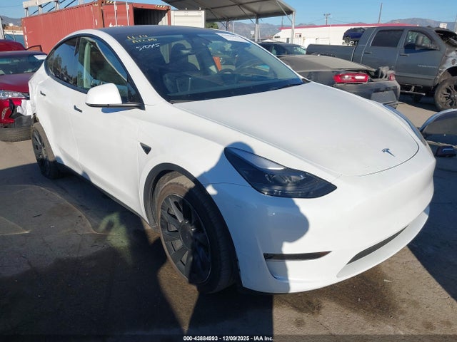 2024 TESLA MODEL Y 7SAYGAEE1RF088907 Photo 0