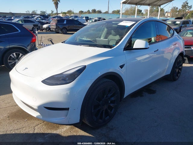 2024 TESLA MODEL Y 7SAYGAEE1RF088907 Photo 1