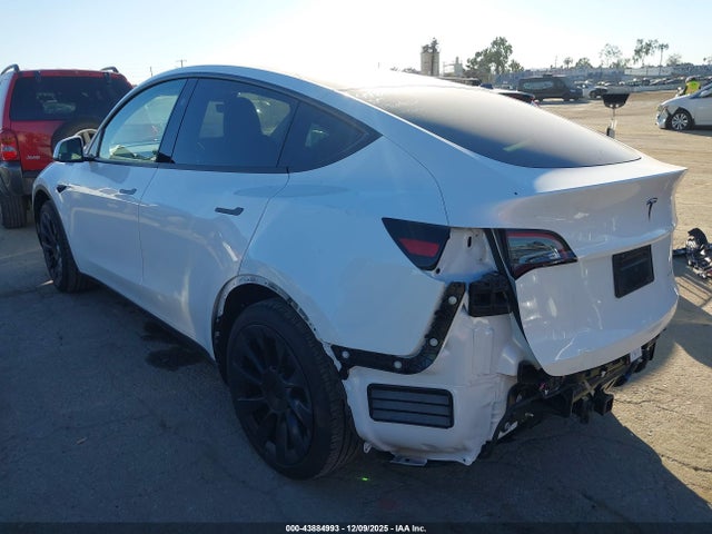 2024 TESLA MODEL Y 7SAYGAEE1RF088907 Photo 2