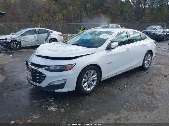 2020 CHEVROLET MALIBU 1G1ZD5ST1LF005766 Photo 1