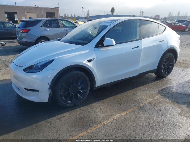 2022 TESLA MODEL Y 7SAYGDEE1NF545520 Photo 1