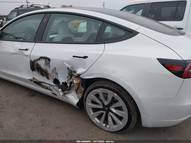 2021 TESLA MODEL 3 5YJ3E1EA9MF927804 Photo 5