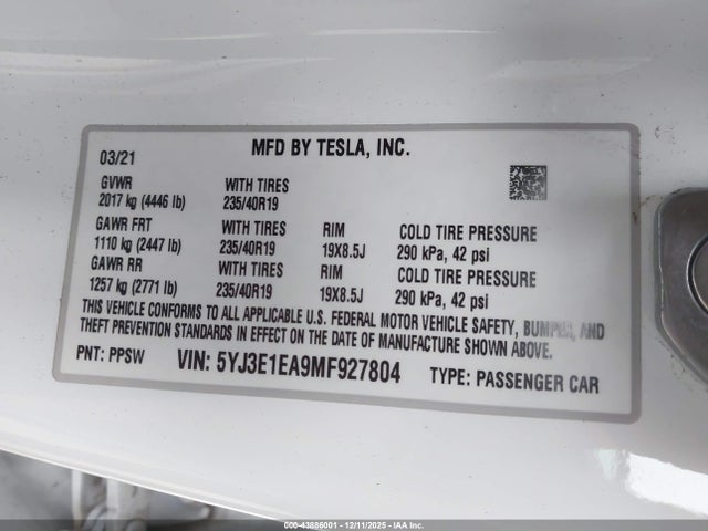2021 TESLA MODEL 3 5YJ3E1EA9MF927804 Photo 8