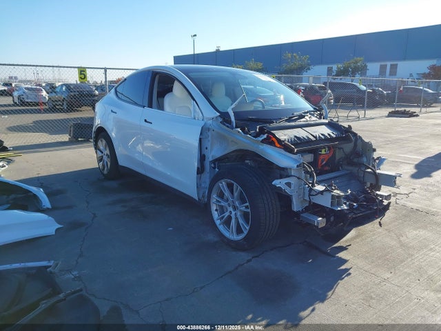 2023 TESLA MODEL Y 7SAYGDEE2PF613276 Photo 0