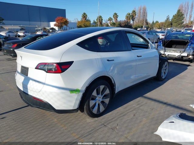 2023 TESLA MODEL Y 7SAYGDEE2PF613276 Photo 3