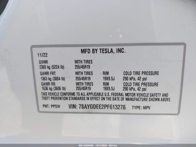 2023 TESLA MODEL Y 7SAYGDEE2PF613276 Photo 8
