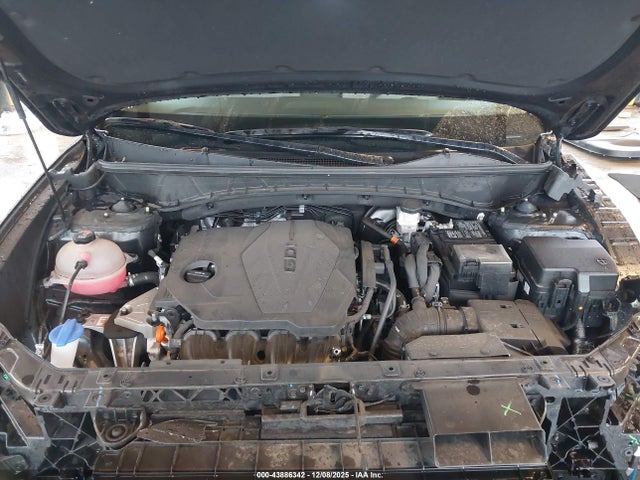 Hyundai TUCSON SEL 2023 5NMJF3AE6PH162384 Image 10