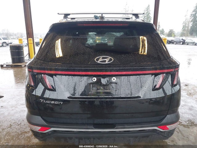 Hyundai TUCSON SEL 2023 5NMJF3AE6PH162384 Image 16