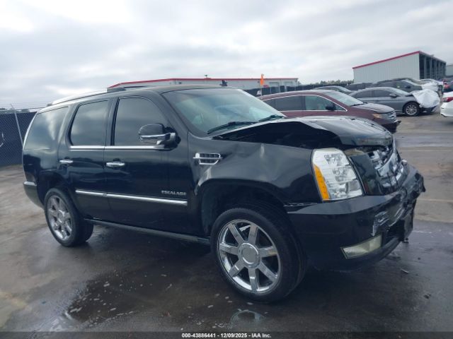 2011 CADILLAC ESCALADE 1GYS4CEF6BR141983