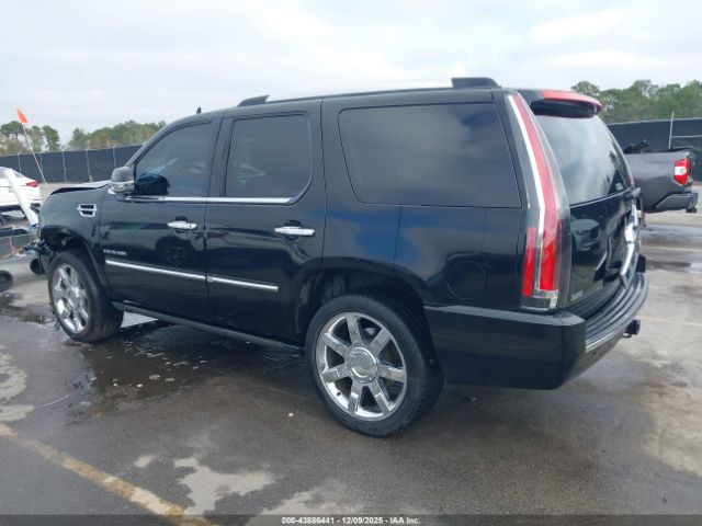 2011 CADILLAC ESCALADE 1GYS4CEF6BR141983 Photo 2