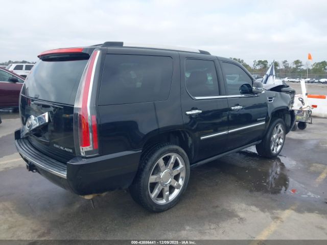 2011 CADILLAC ESCALADE 1GYS4CEF6BR141983 Photo 3