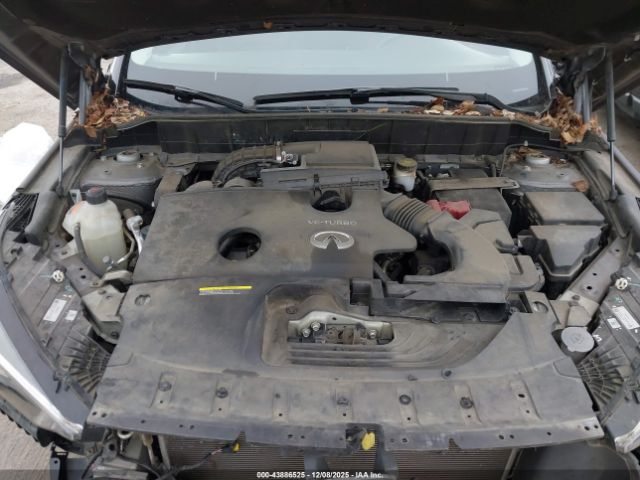 2019 INFINITI QX50 3PCAJ5M36KF113149 Photo 9