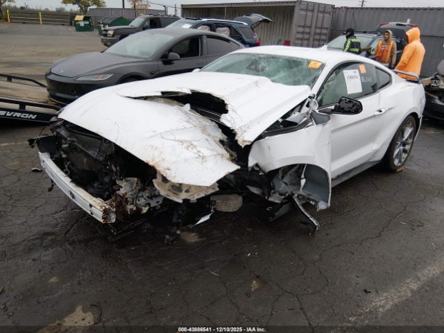 2023 FORD MUSTANG 1FA6P8CF1P5306423 Photo 1