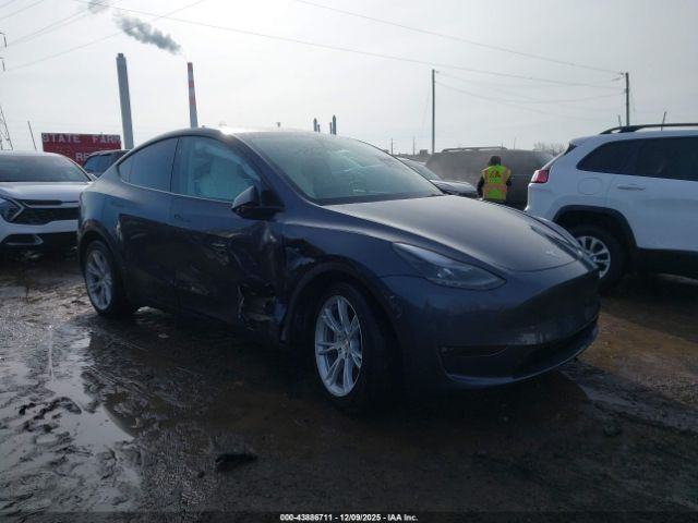 2023 TESLA MODEL Y 7SAYGDEE8PF823042 Photo 0