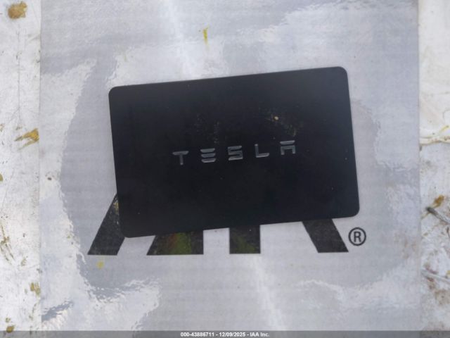 2023 TESLA MODEL Y 7SAYGDEE8PF823042 Photo 10