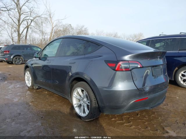 2023 TESLA MODEL Y 7SAYGDEE8PF823042 Photo 2