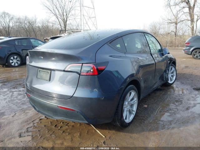 2023 TESLA MODEL Y 7SAYGDEE8PF823042 Photo 3
