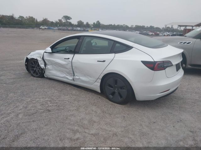 2023 TESLA MODEL 3 5YJ3E1EA1PF479921 Photo 2