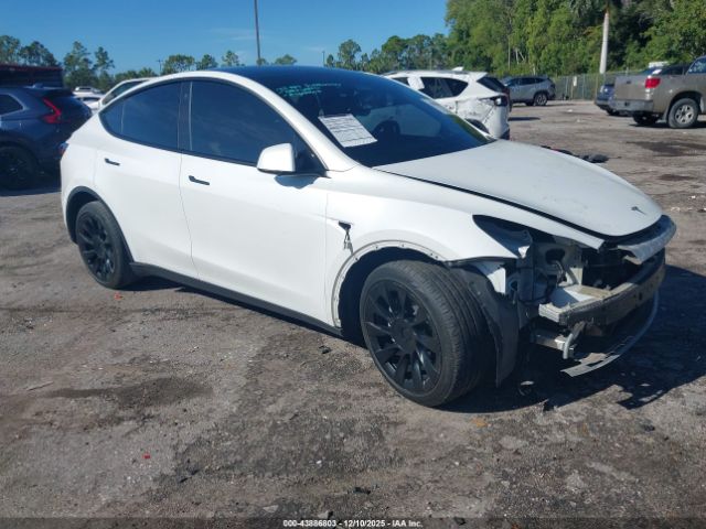 2021 TESLA MODEL Y 5YJYGDEE5MF204066