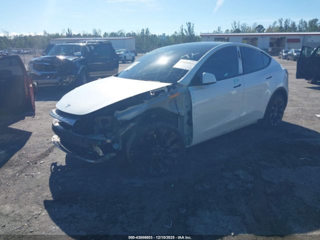 2021 TESLA MODEL Y 5YJYGDEE5MF204066 Photo 1