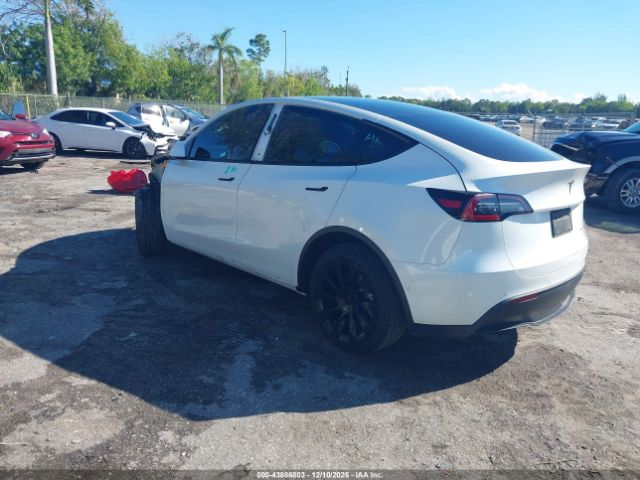 2021 TESLA MODEL Y 5YJYGDEE5MF204066 Photo 2