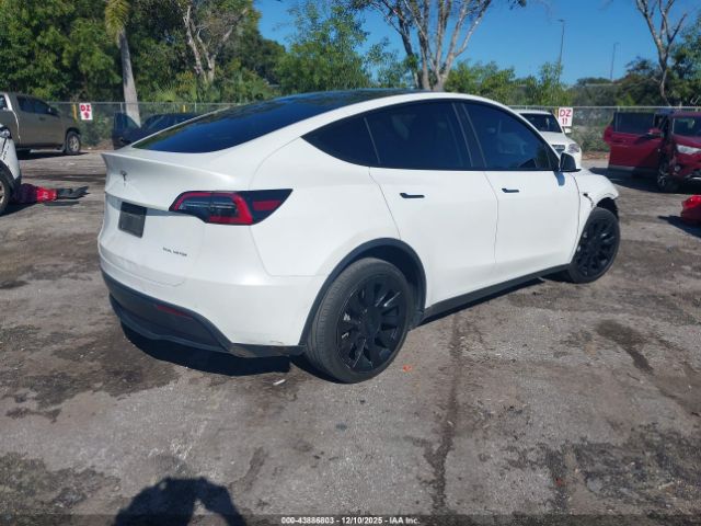 2021 TESLA MODEL Y 5YJYGDEE5MF204066 Photo 3
