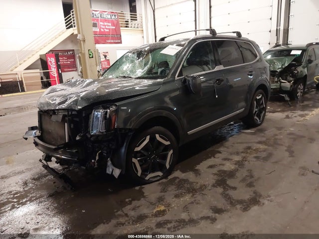 KIA Telluride Ex 2024 5XYP34GC1RG463527 Image 2