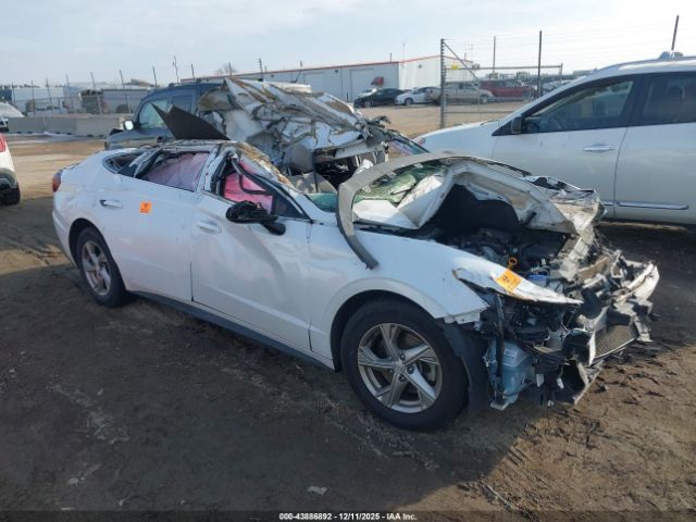 2020 HYUNDAI SONATA 5NPEG4JA1LH020006