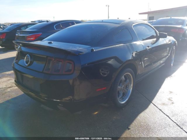 2014 FORD MUSTANG 1ZVBP8CF8E5243548 Photo 3