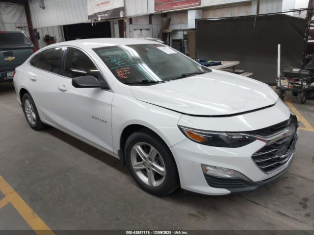 2020 CHEVROLET MALIBU 1G1ZB5ST3LF000560