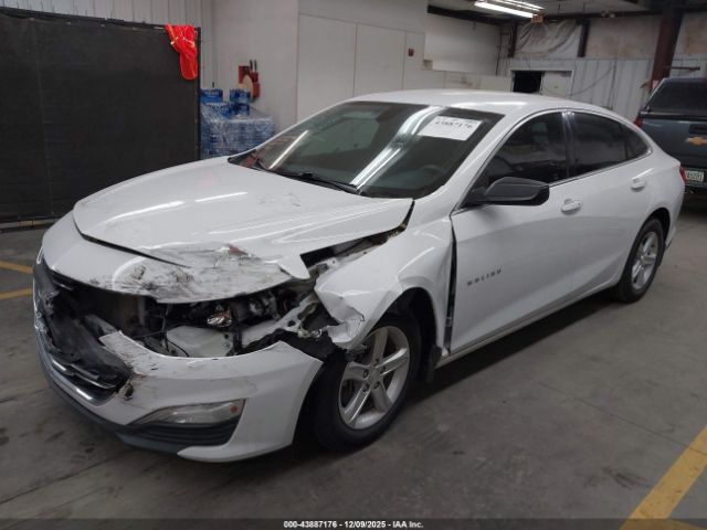 2020 CHEVROLET MALIBU 1G1ZB5ST3LF000560 Photo 1