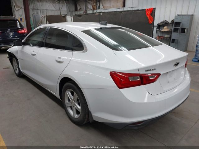 2020 CHEVROLET MALIBU 1G1ZB5ST3LF000560 Photo 2