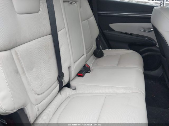 2023 HYUNDAI TUCSON HYBRID KM8JECA13PU086434 Photo 7